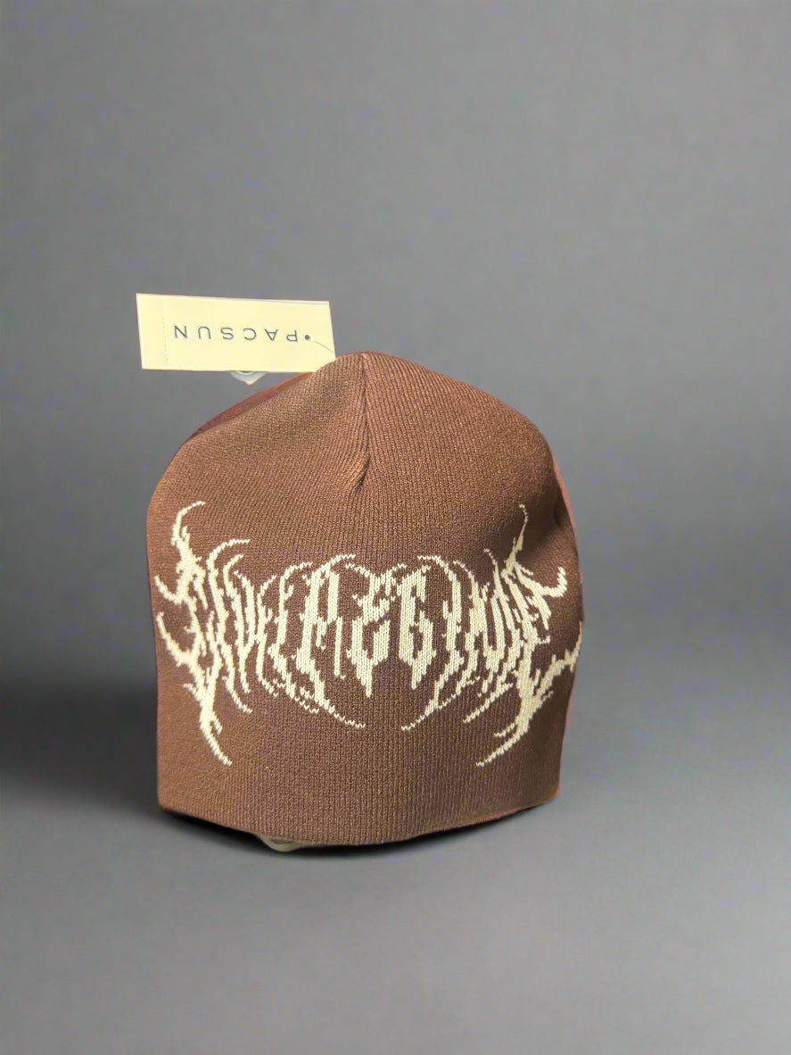 Pacsun New Hesh Beanie